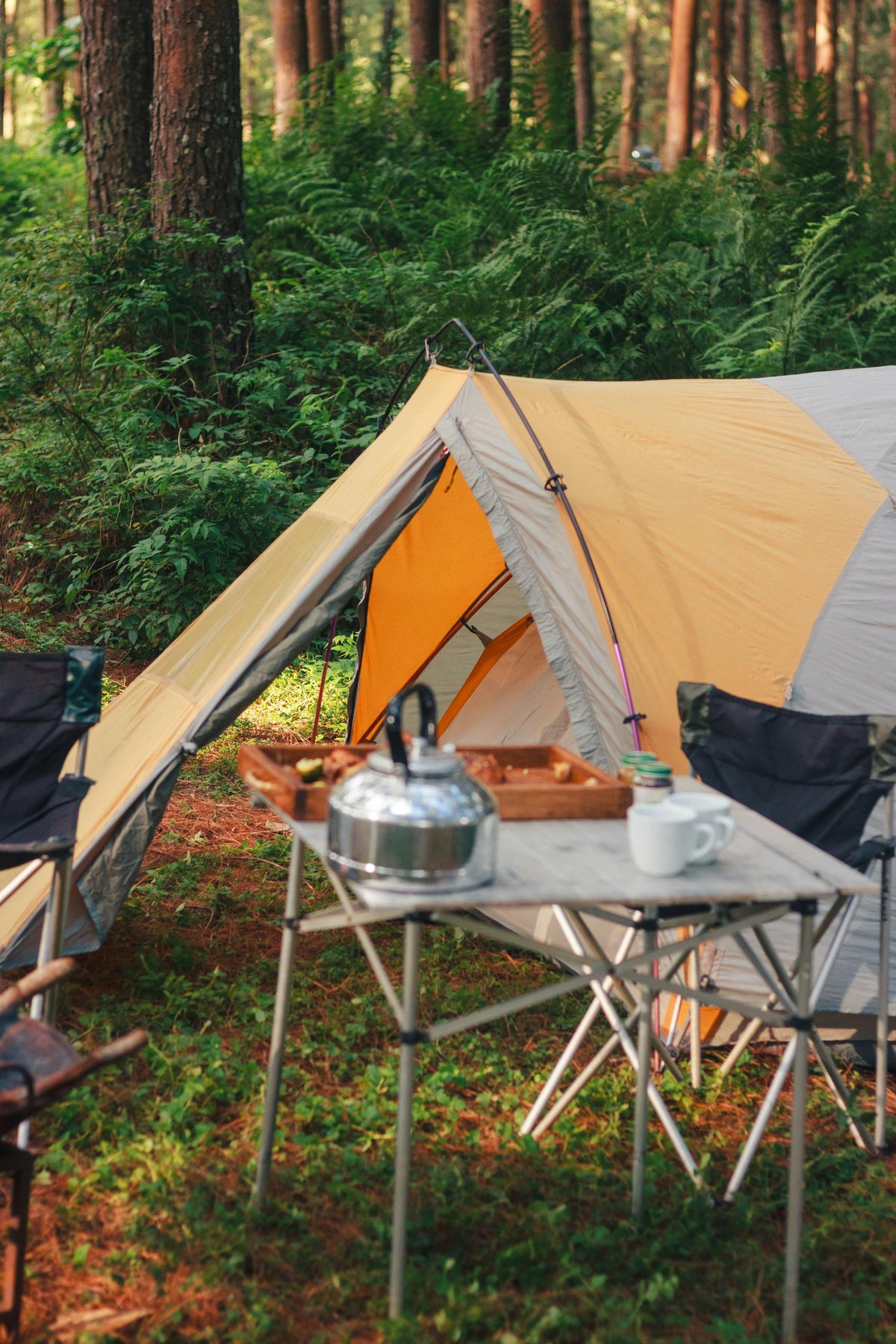 Hiking & Camping